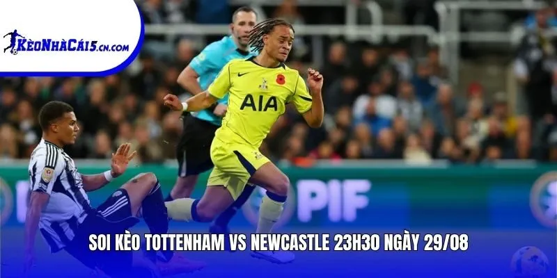 Soi kèo Tottenham vs Newcastle | 23h30 ngày 29/08